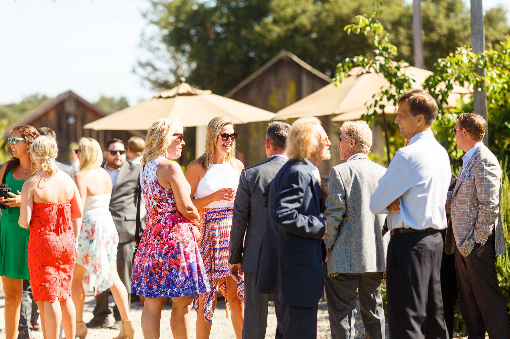 Guests mingling after the ceremony at Dana Powers Barn
